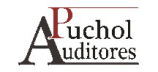 Puchol Auditores